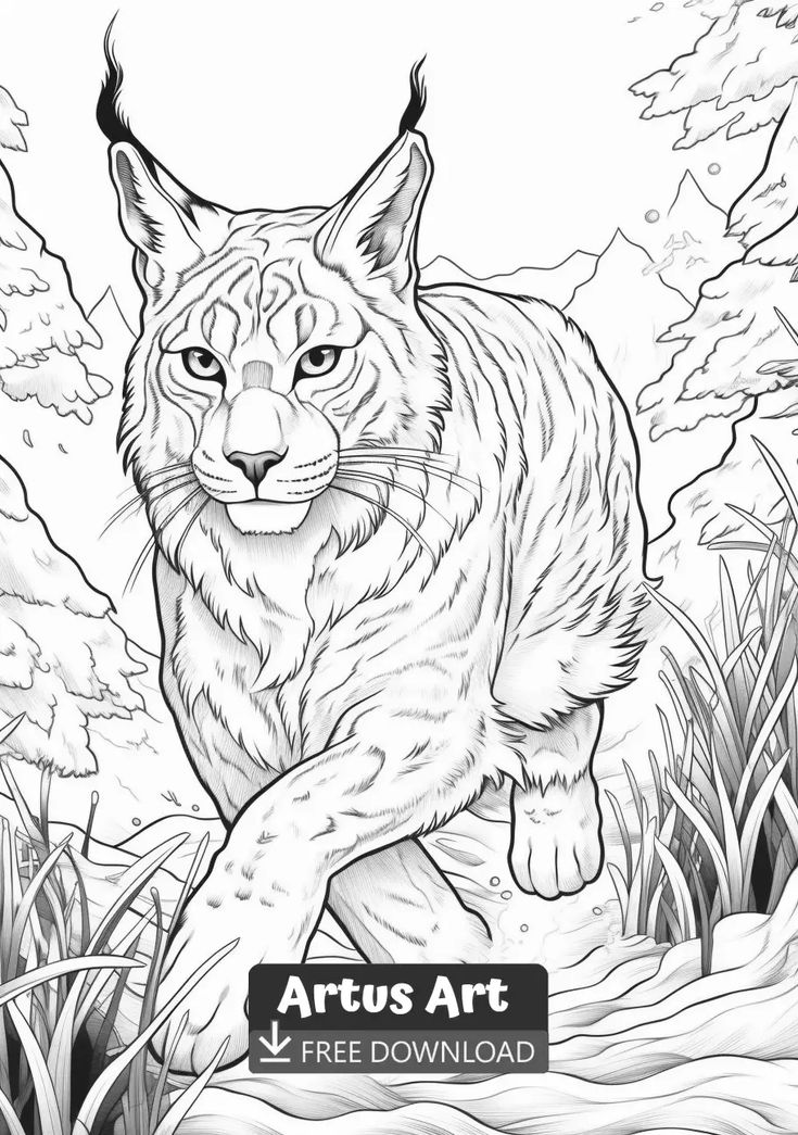 Lynx coloring page animal coloring pages monster coloring pages coloring pages