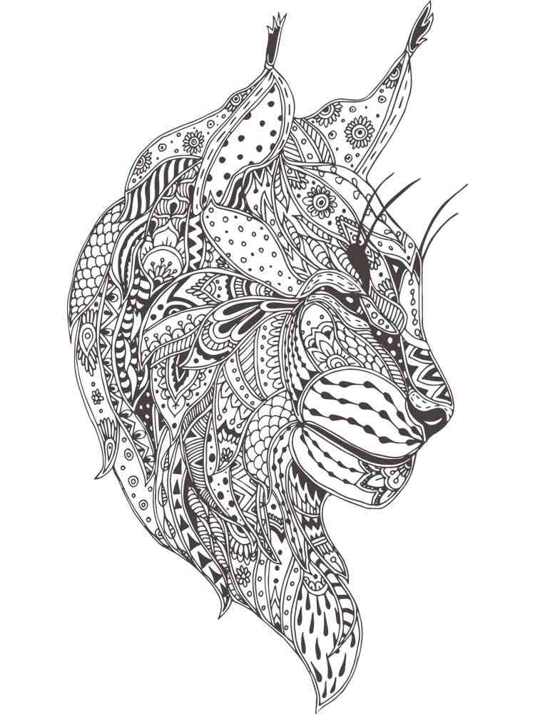 Lynx coloring pages for adults