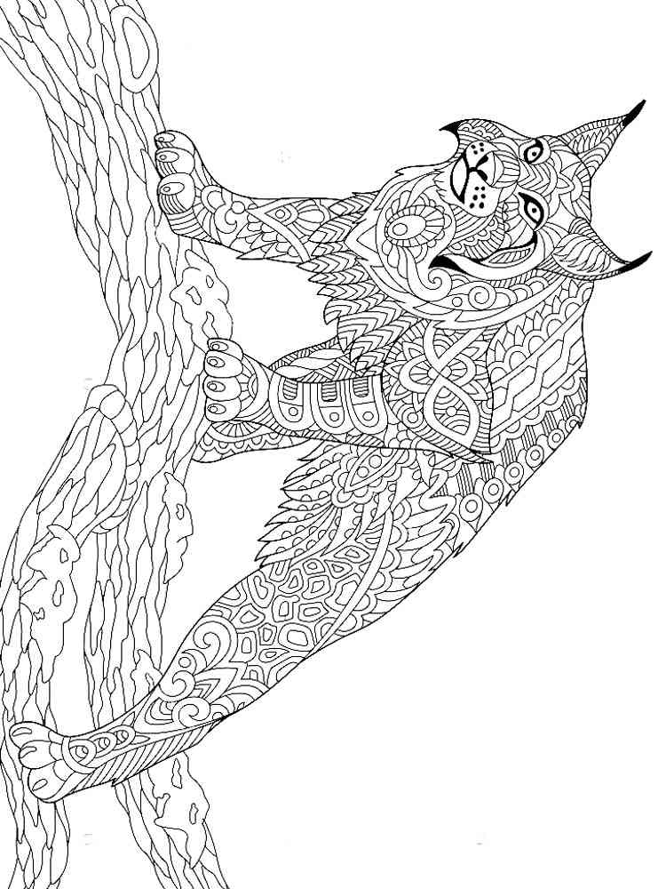 Lynx coloring pages for adults