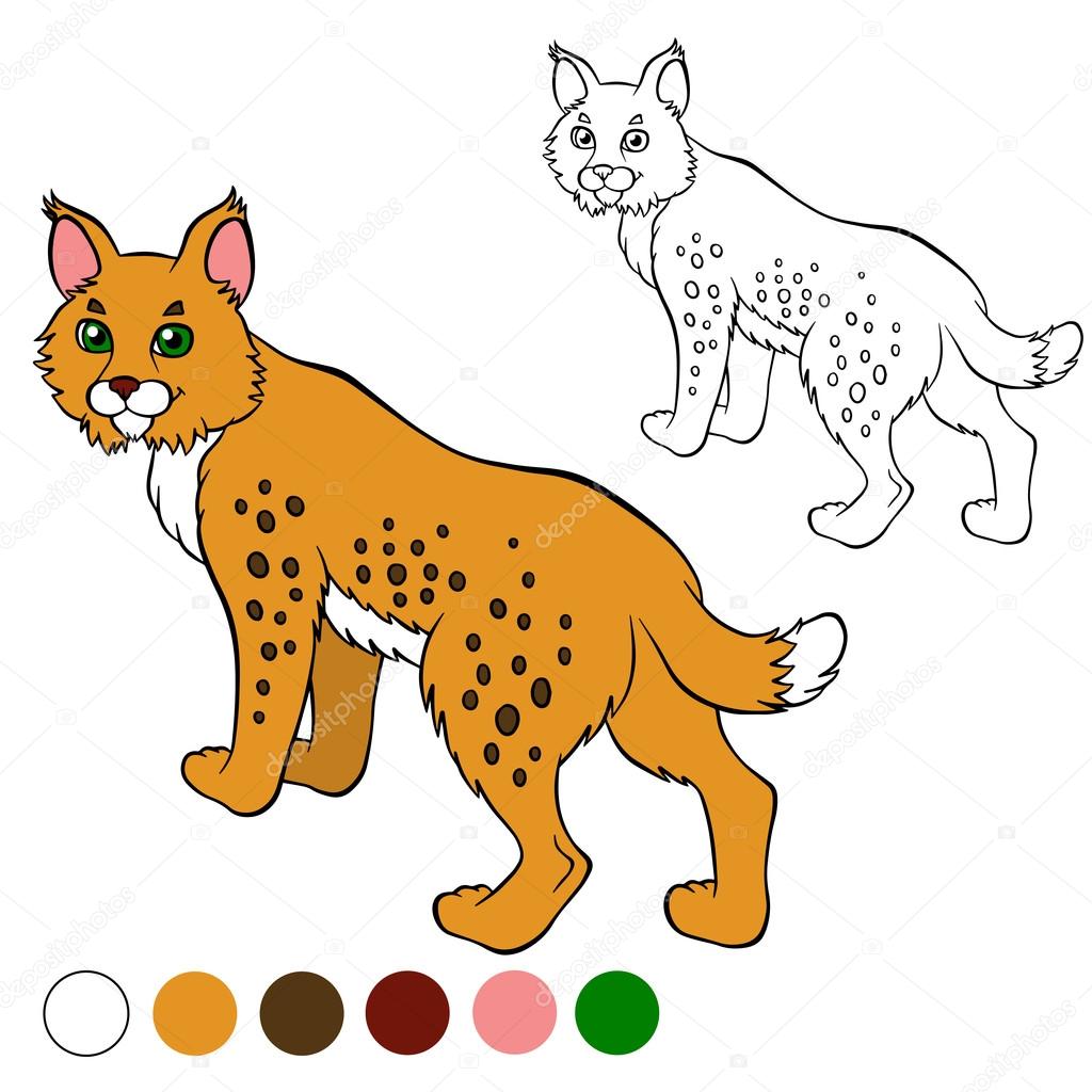 Coloring page color me lynx cute beautiful lynx stands and sm stock vector by ya