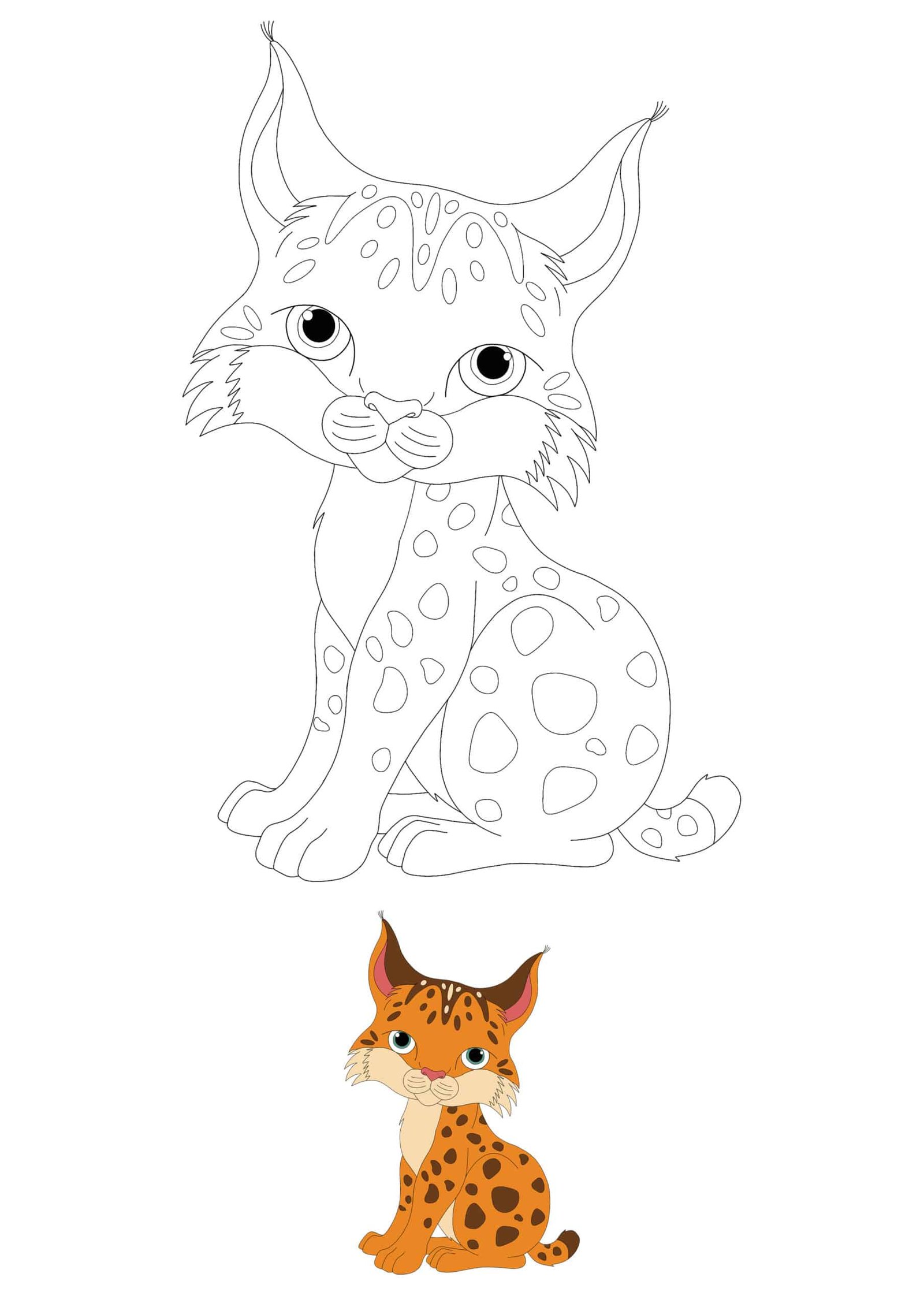 Baby wild cat coloring pages