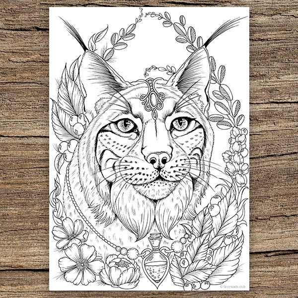 Lynx printable adult coloring page from favoreads coloring book pages for adults and kids coloring sheets colouring designs