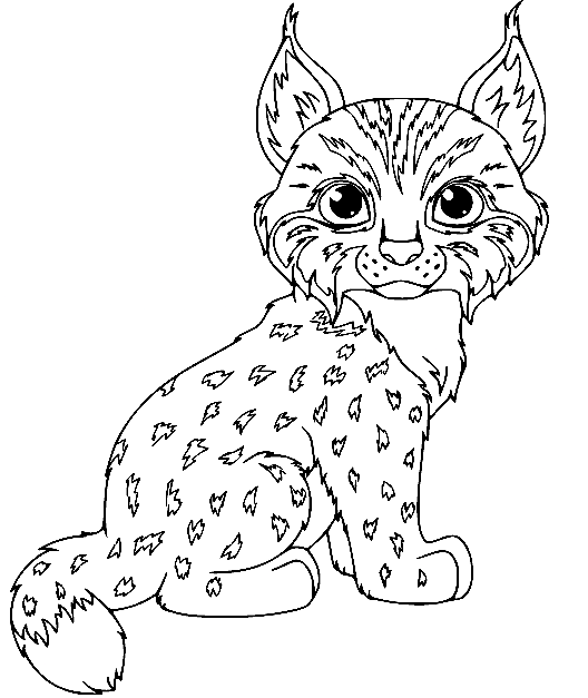 Lynx coloring pages printable for free download