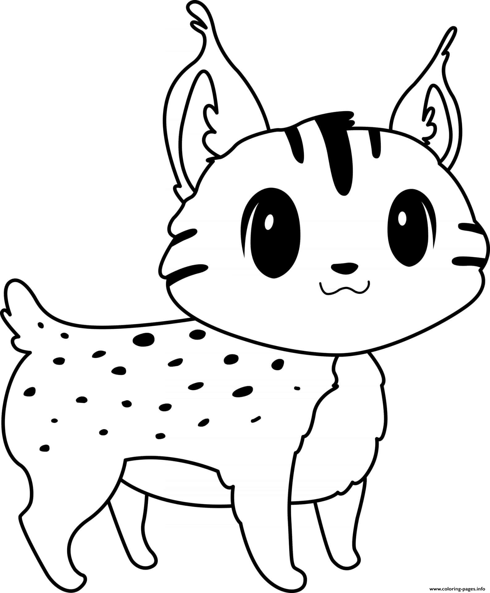 Lynx coloring page printable