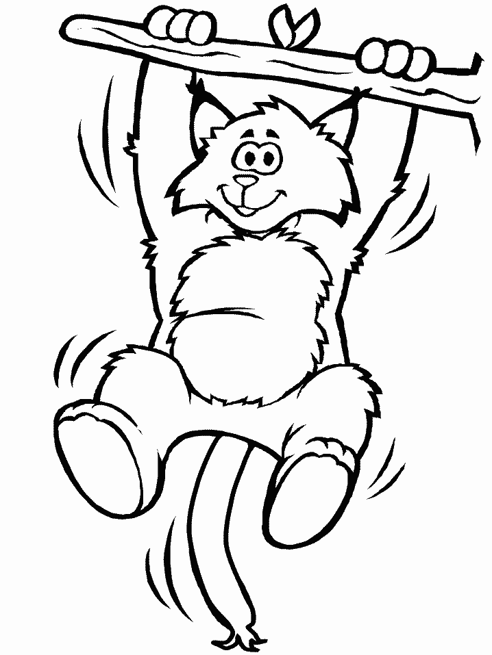 Lynx coloring pages