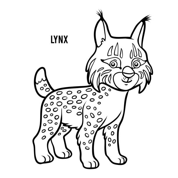 Coloring book lynx stock illustration