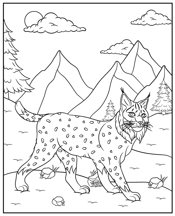 Lynx coloring page animal