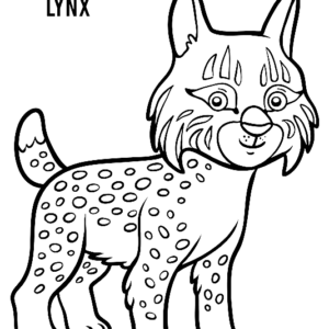 Lynx coloring pages printable for free download