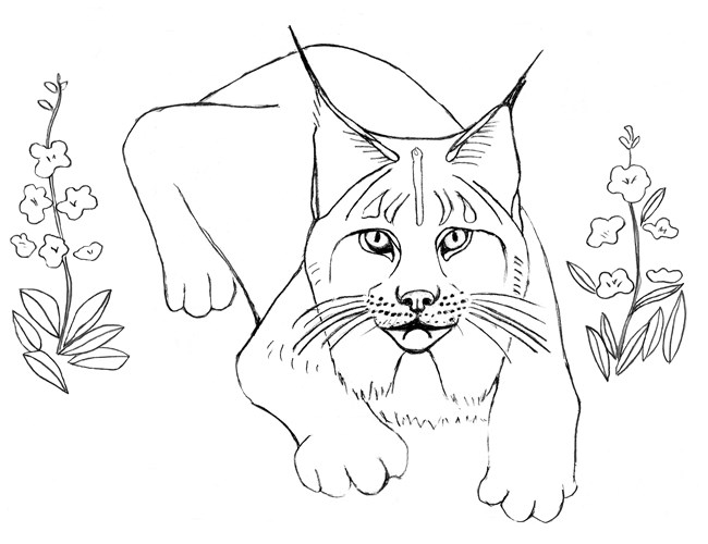 Coloring pages