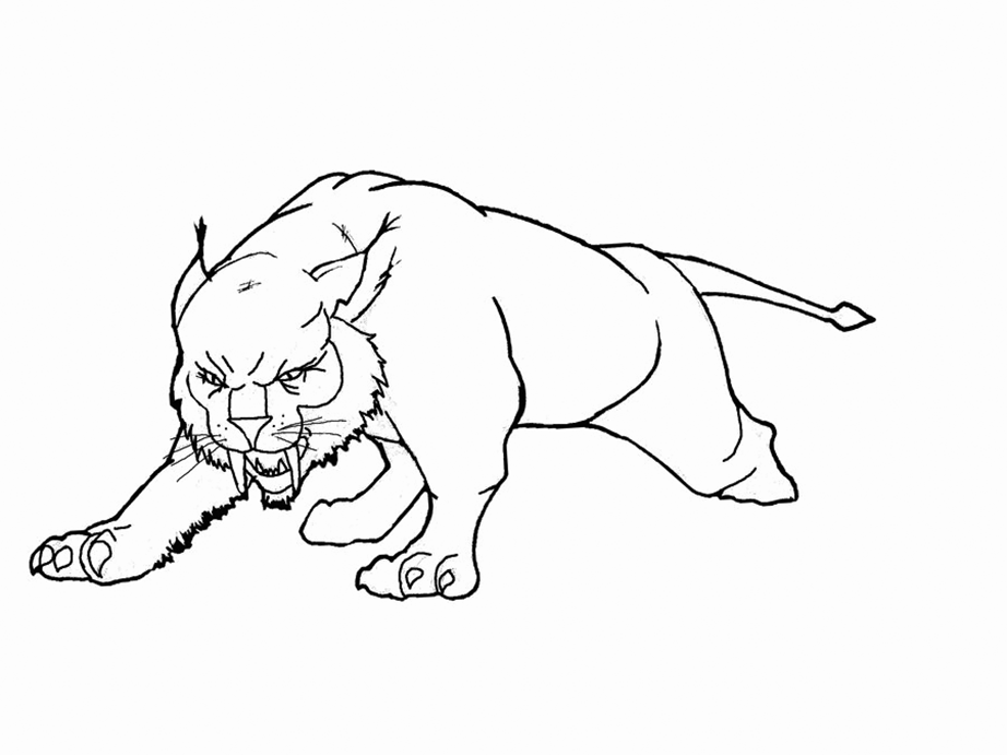 Lynx coloring pages