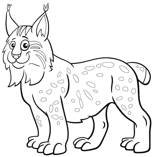 Premium vector funny cartoon lynx animal character coloring page