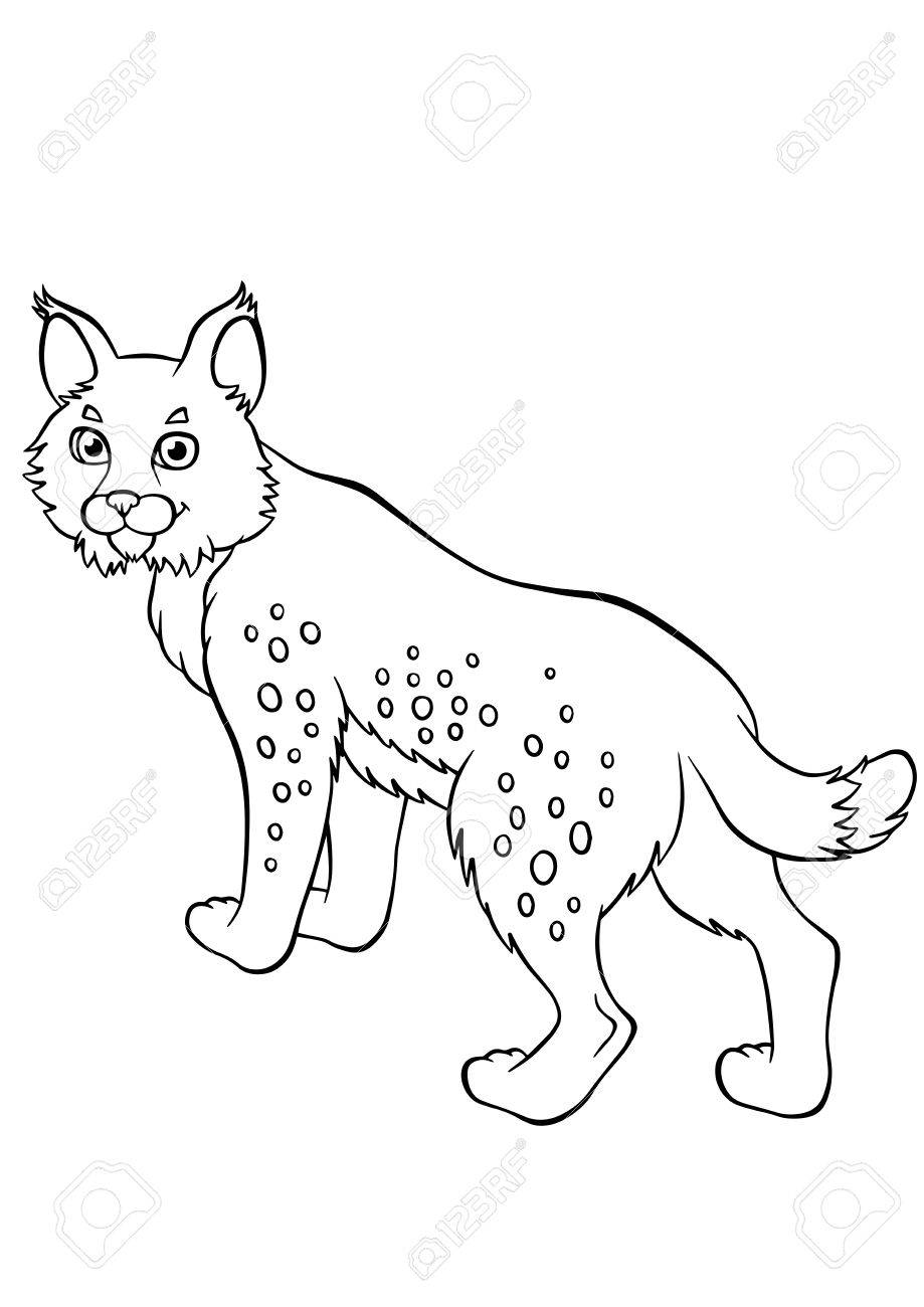 Coloring pages animals little cute lynx stands and smiles royalty free svg cliparts vectors and stock illustration image