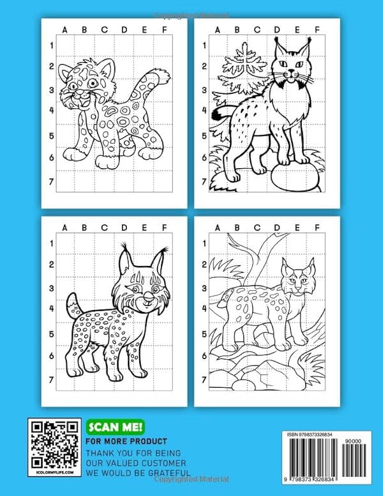 How to draw lynx easy guide book for drawing with simple pictures of a wild animal inside stress relief gifts birthday gifts creativity gifts by mill tudor mill