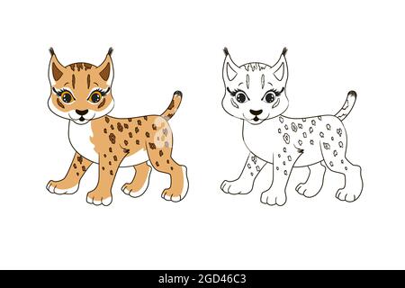 Coloring book little baby lynx coloring page for kids educational activity for preschool years kids and toddlers with cute animal stock vector image art