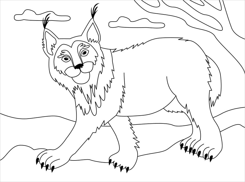 Very simple lynx coloring page