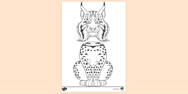 Lynx puppet template colouring colouring sheets