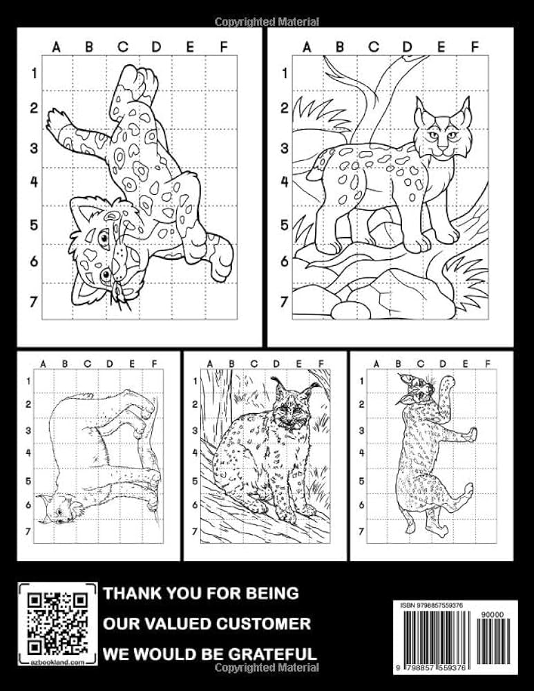 How to draw lynx easy guide book for drawing with simple pictures of a wild animal inside stress relief gifts birthday gifts creativity gifts stark ayla books