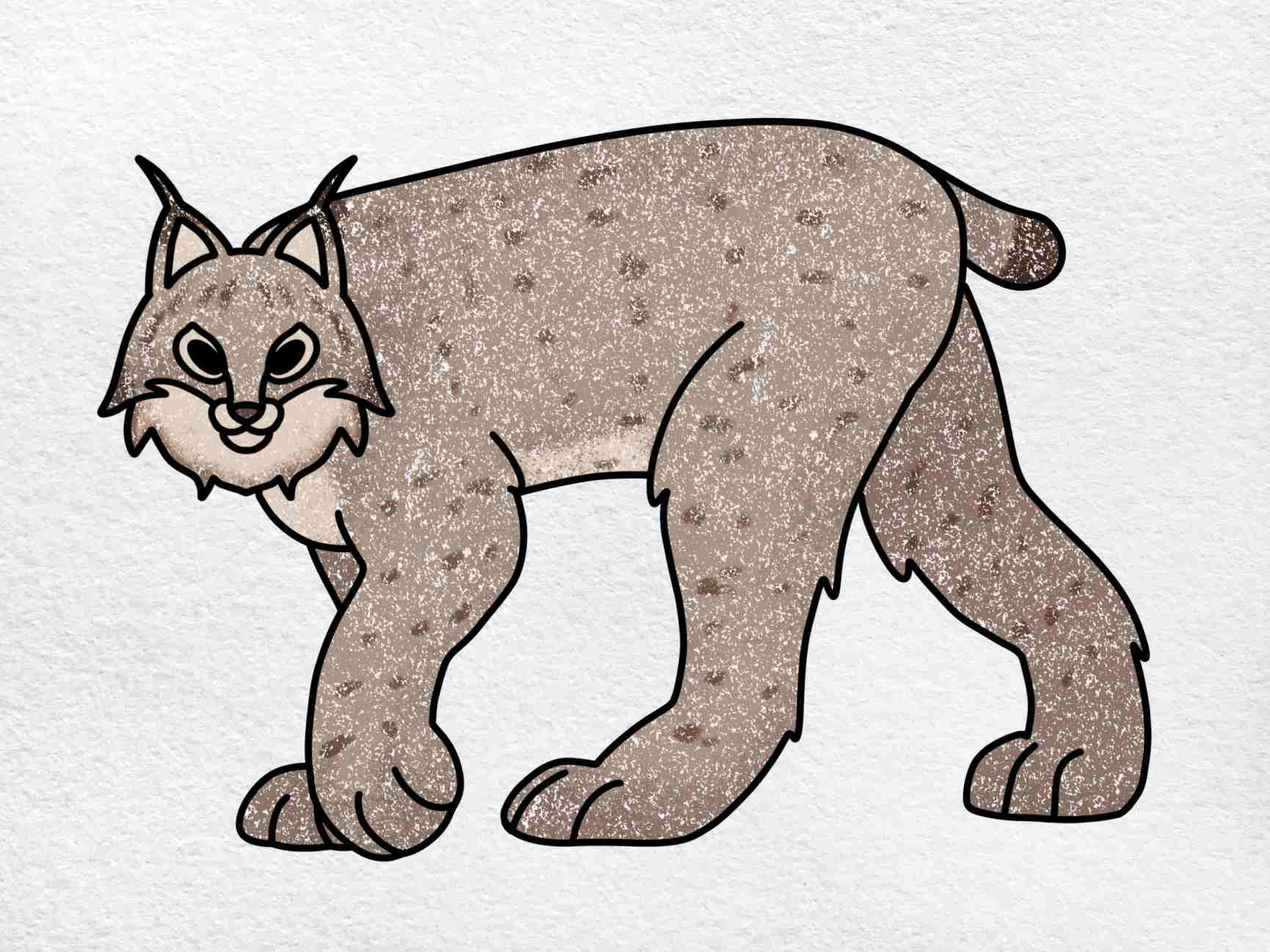 Lynx drawing