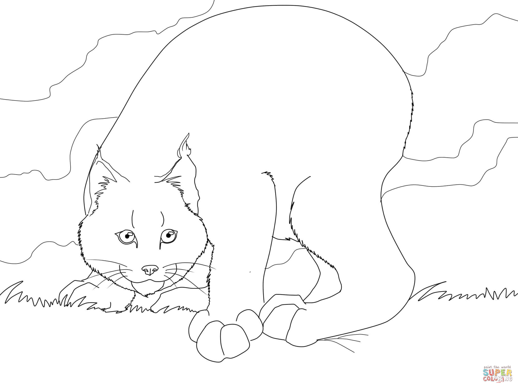 Crouching canadian lynx coloring page free printable coloring pages