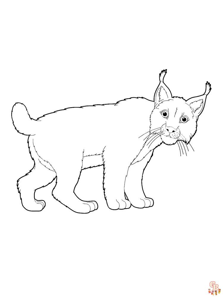 Free printable wild animals coloring pages for kids