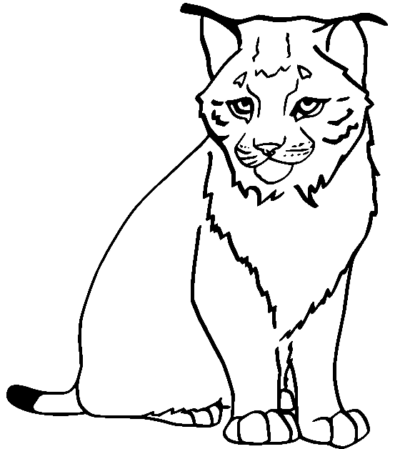 Lynx coloring pages printable for free download