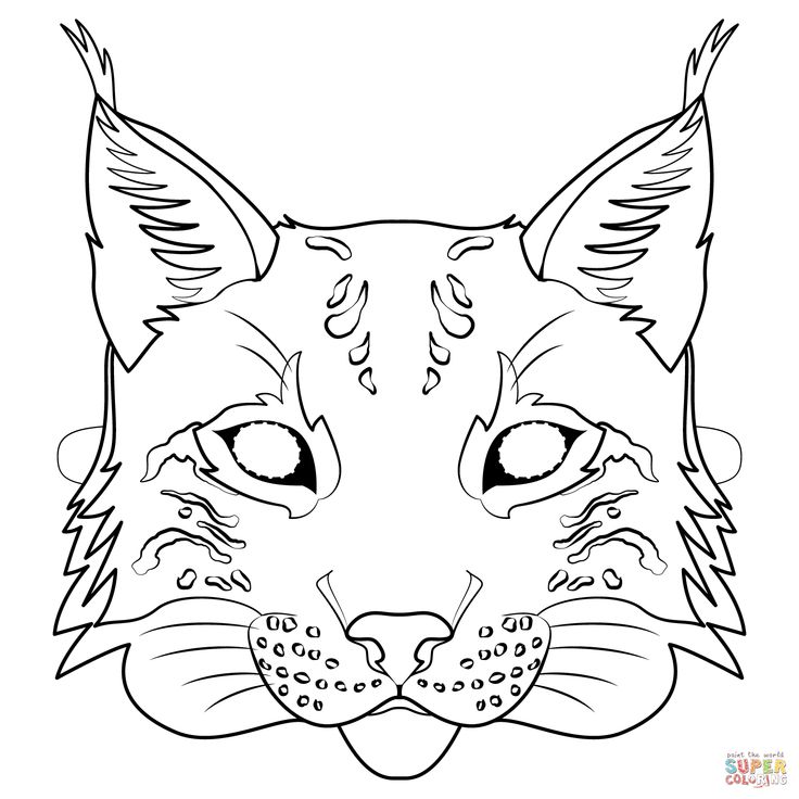 Lynx mask coloring page free printable coloring pages animal mask templates coloring pages printable animal masks