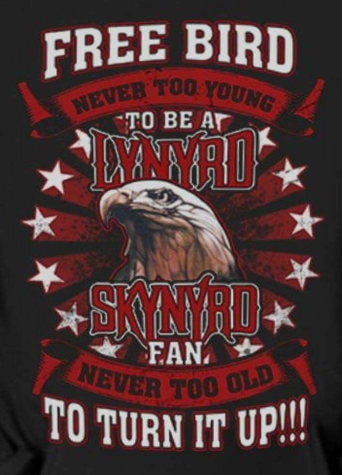 Lynyrd skynyrd ð âª ðµ rock band posters rock and roll bands rock n roll art