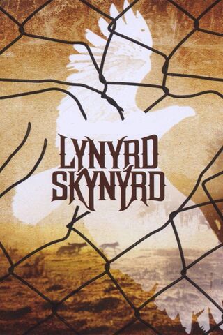 Lynyrd skynyrd wallpaper