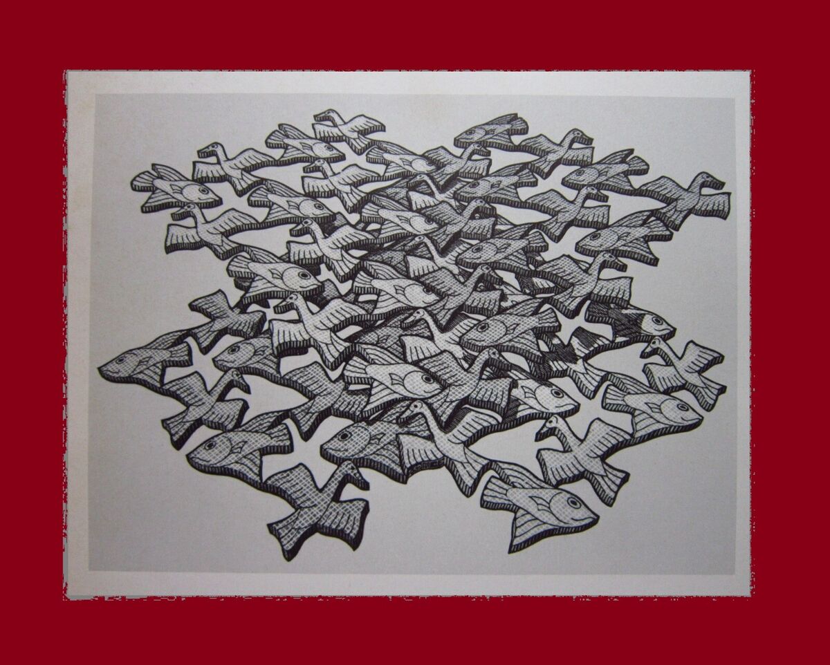 Mc escher interesting planes bird fish graphic art optical illusions print litho