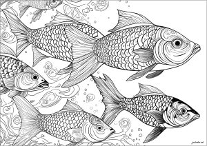 Fishes by m c escher copie