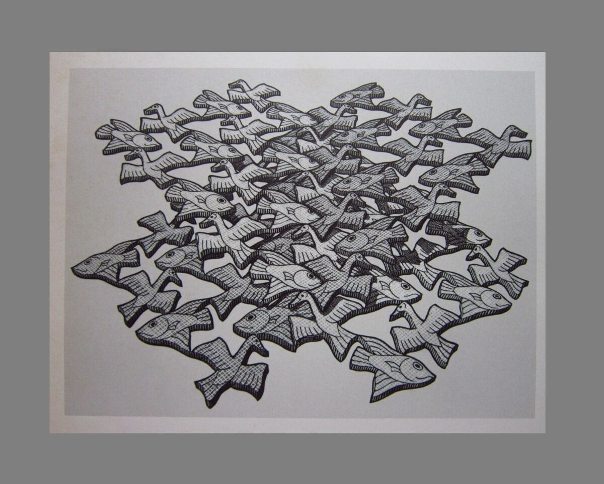 Mc escher interesting planes bird fish graphic art optical illusions print litho