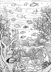 Squared drawing with fishes by m c escher