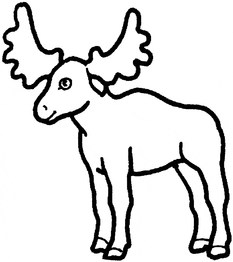 Moose coloring page