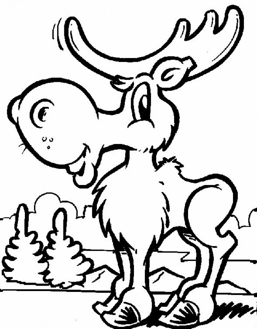 Free printable moose coloring pages for kids