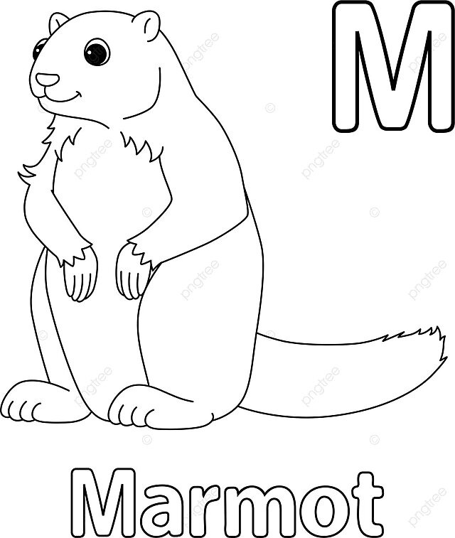 Marmot alphabet abc isolated coloring page m sheet ground colouring page vector sheet ground colouring page png and vector with transparent background for free download