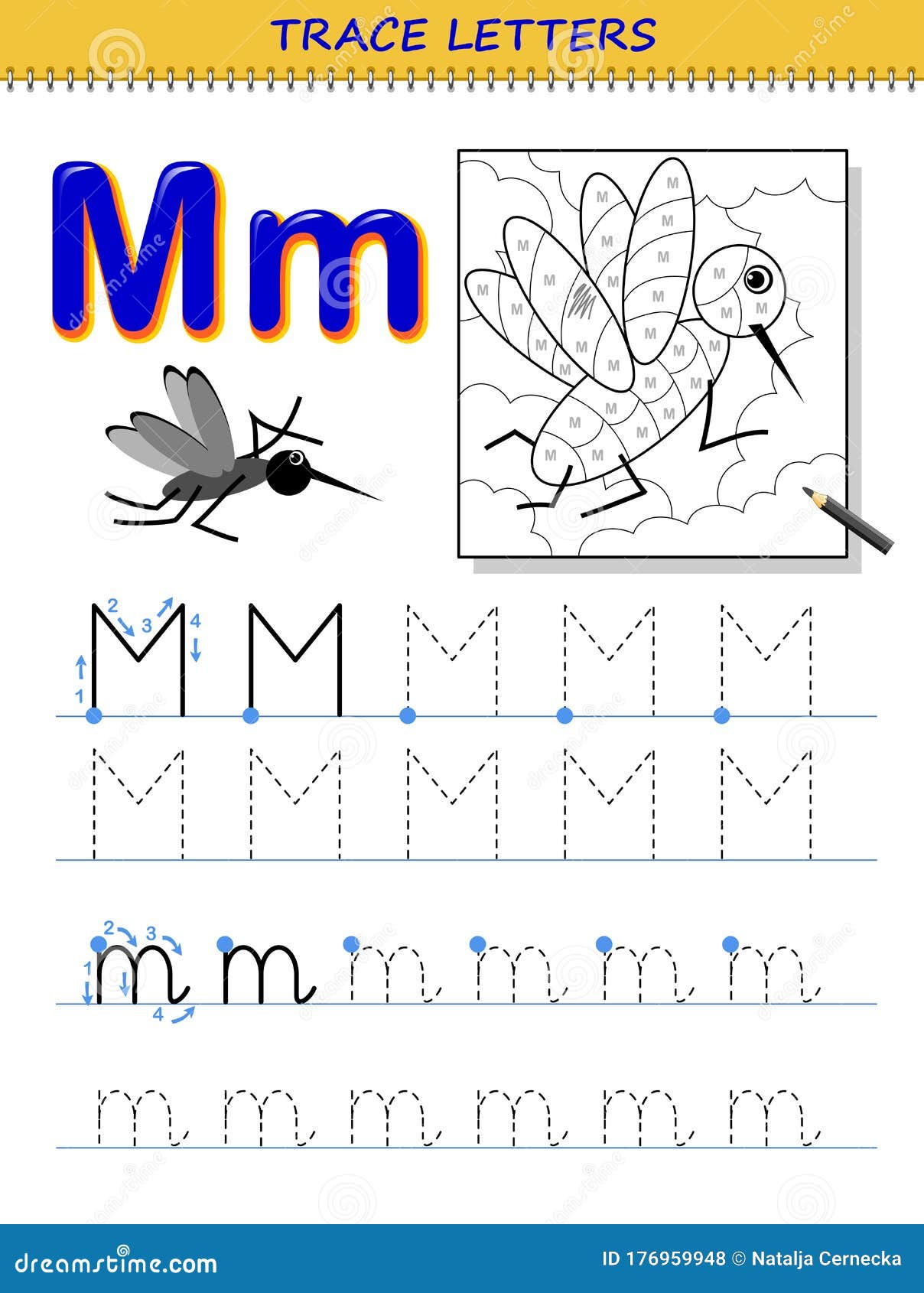 Tracing letter m for study alphabet printable worksheet for kids education page for coloring book stock vector