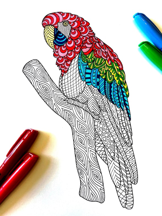 Macaw parrot pdf animal coloring page