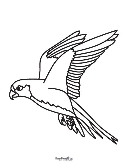 Printable bird coloring pages