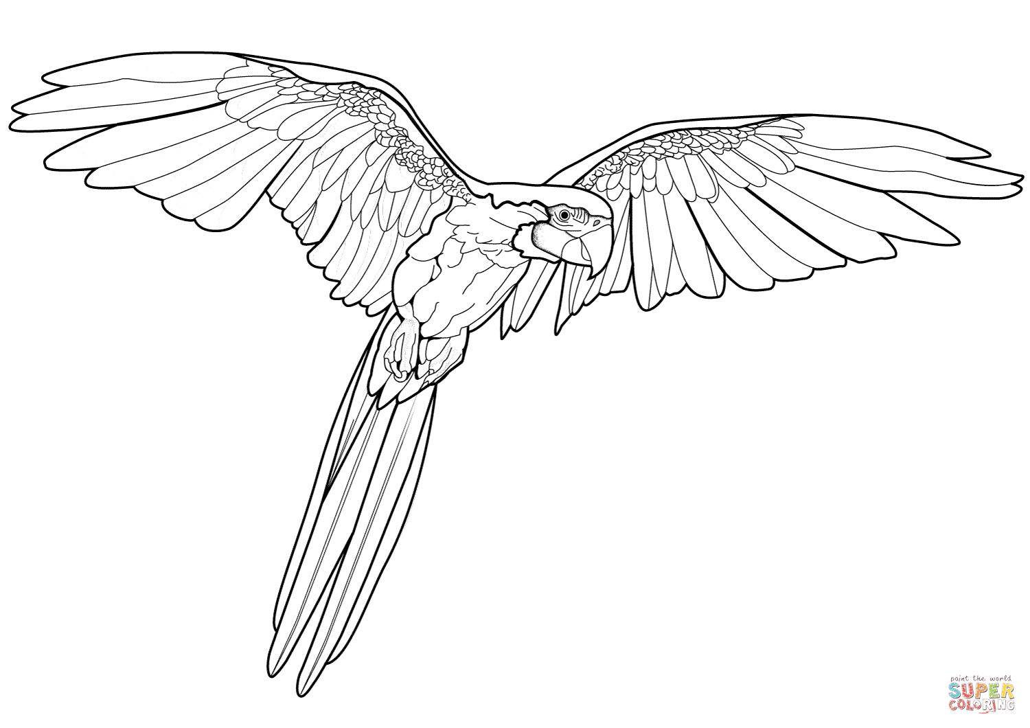 Flying macaw coloring page free printable coloring pages