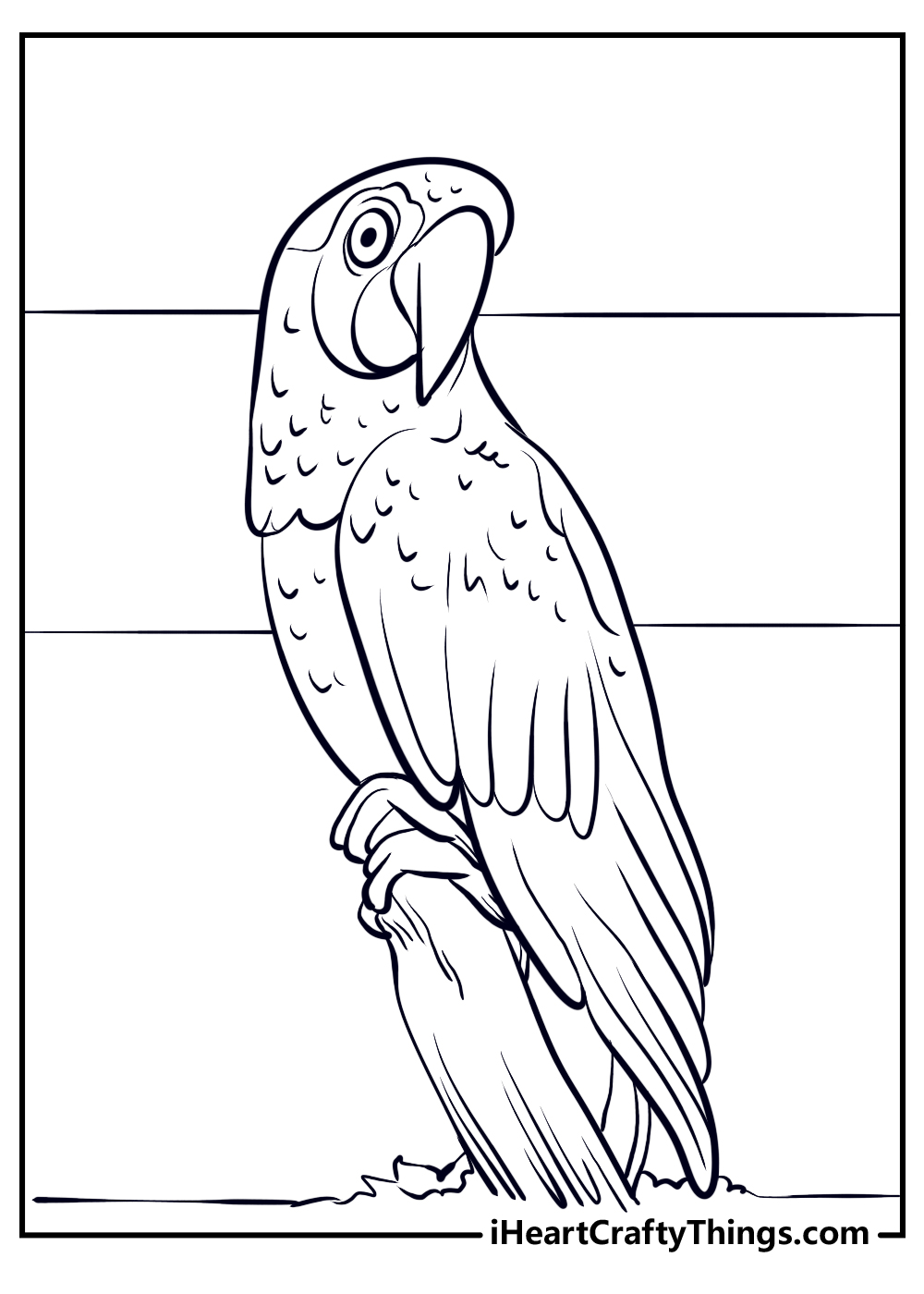 Parrots coloring pages free printables