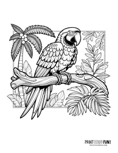 Parrot coloring pages at