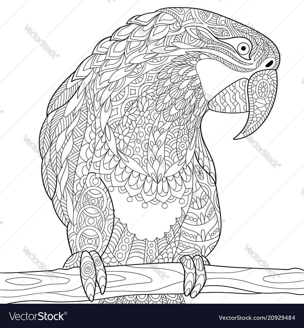 Macaw parrot coloring page royalty free vector image