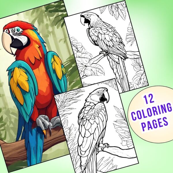 Adorable macaw parrot coloring pages