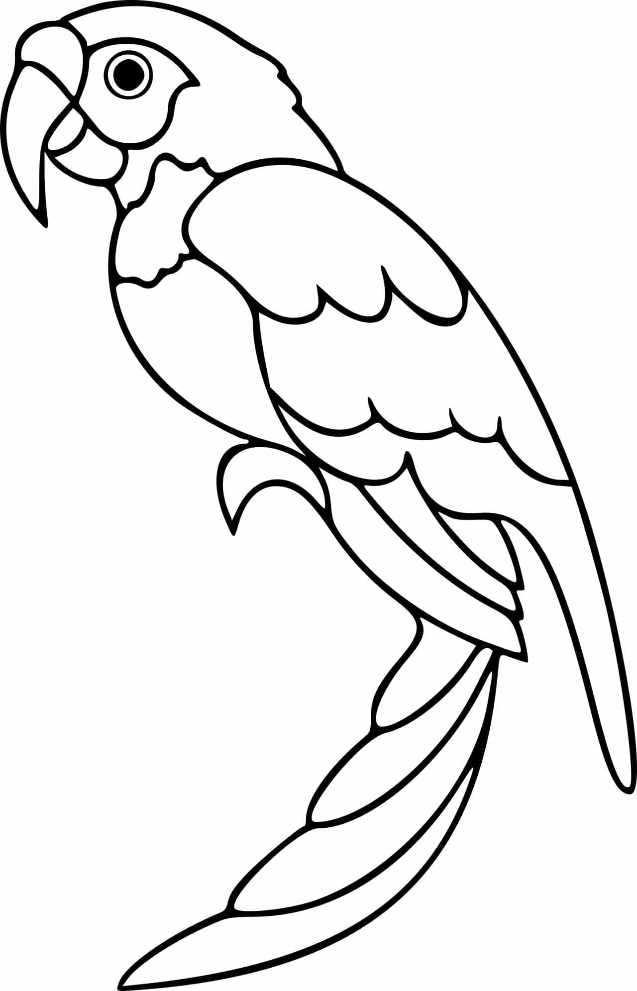 Cute parrot coloring pages