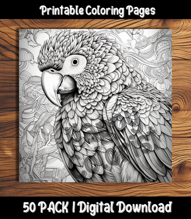 Parrot coloring pages digital pack happy colorist