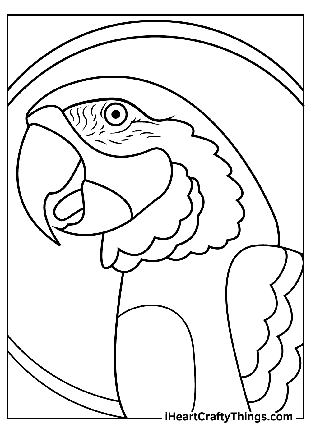 Parrots coloring pages free printables