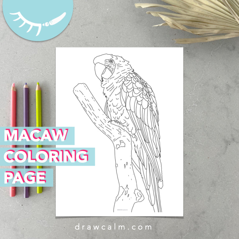 Macaw coloring sheet â draw calm