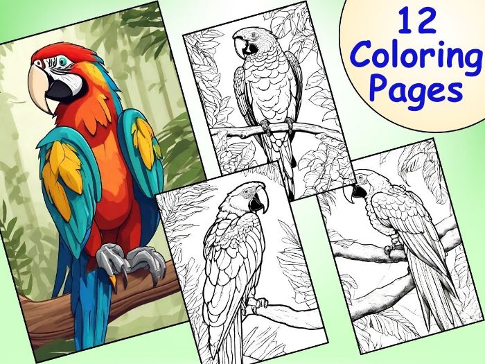 Adorable macaw parrot coloring pages to bring joy and color to your day teaching resources