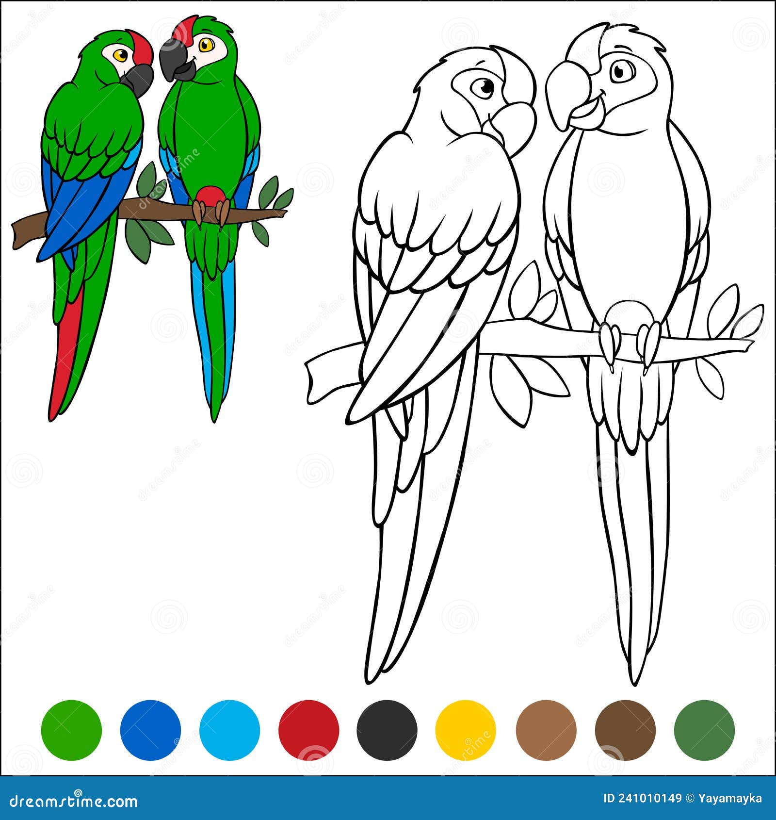 Coloring page birds a pair of cute parrots green macaw sits and smiles stock vector