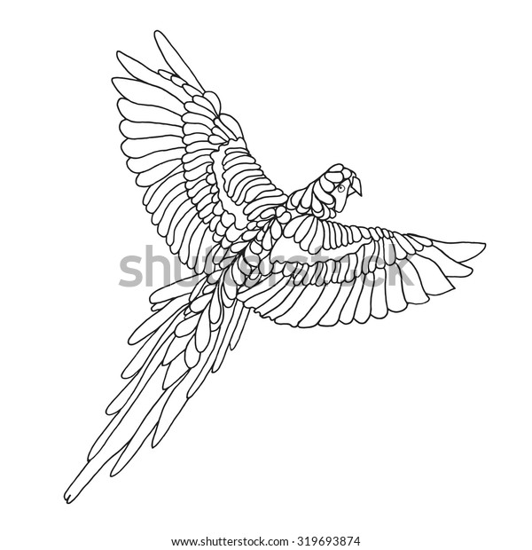 Macaw parrot coloring page birds black stock vector royalty free